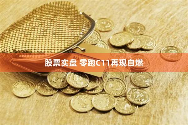 股票实盘 零跑C11再现自燃