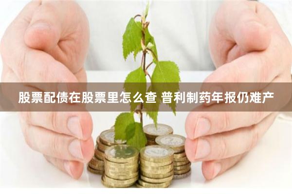 股票配债在股票里怎么查 普利制药年报仍难产