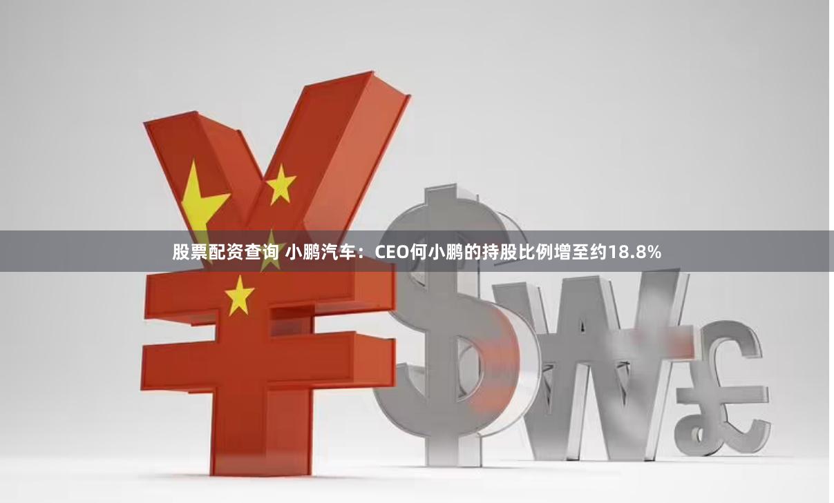 股票配资查询 小鹏汽车：CEO何小鹏的持股比例增至约18.8%