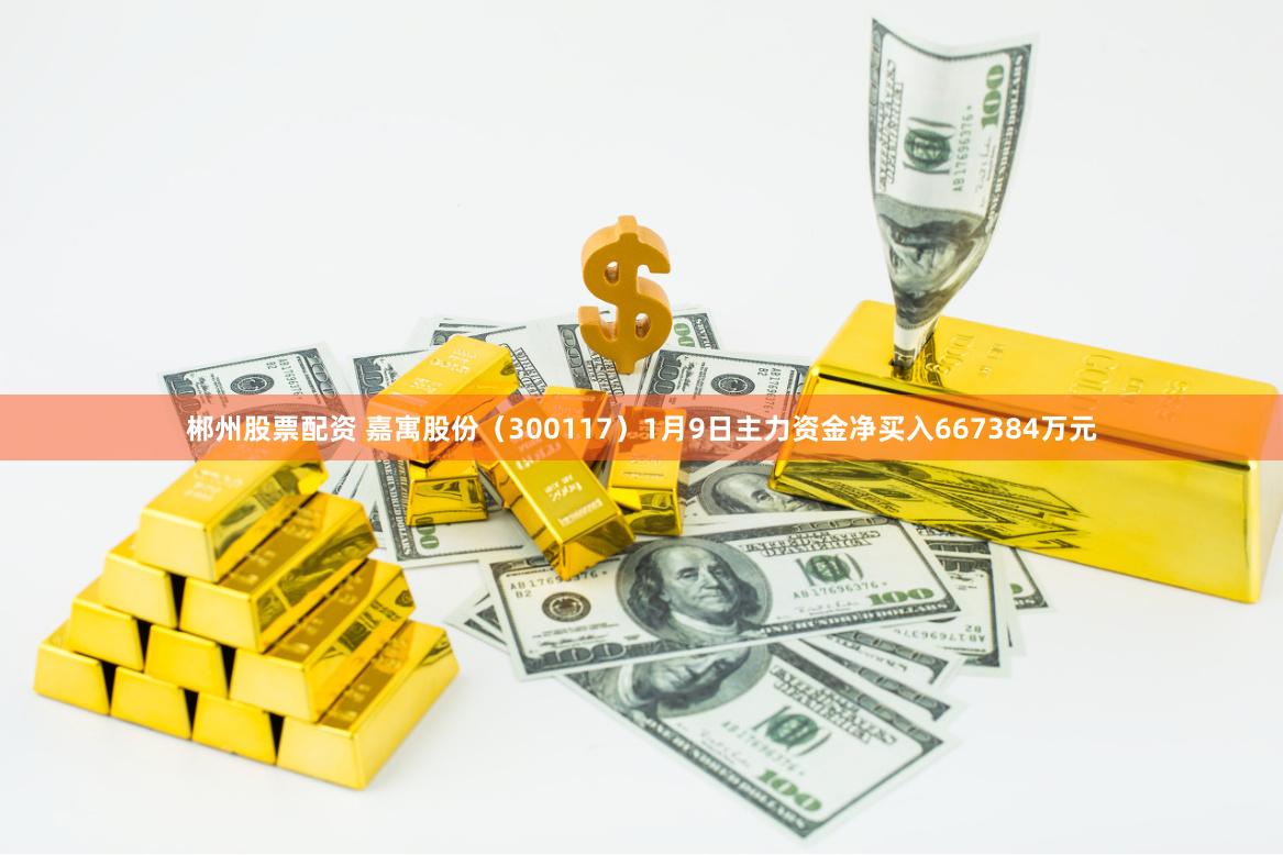 郴州股票配资 嘉寓股份（300117）1月9日主力资金净买入667384万元