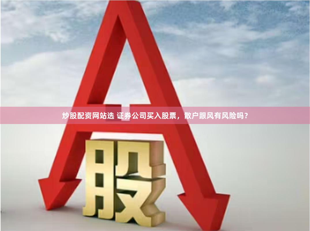炒股配资网站选 证券公司买入股票，散户跟风有风险吗？